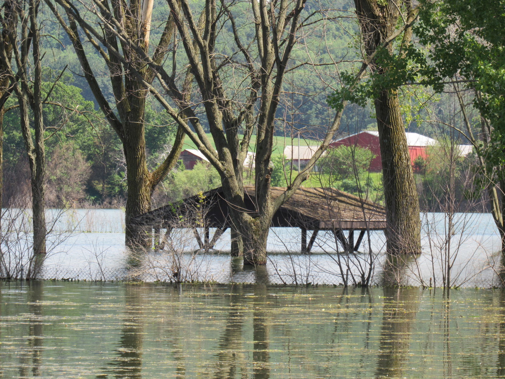 Fish Lake